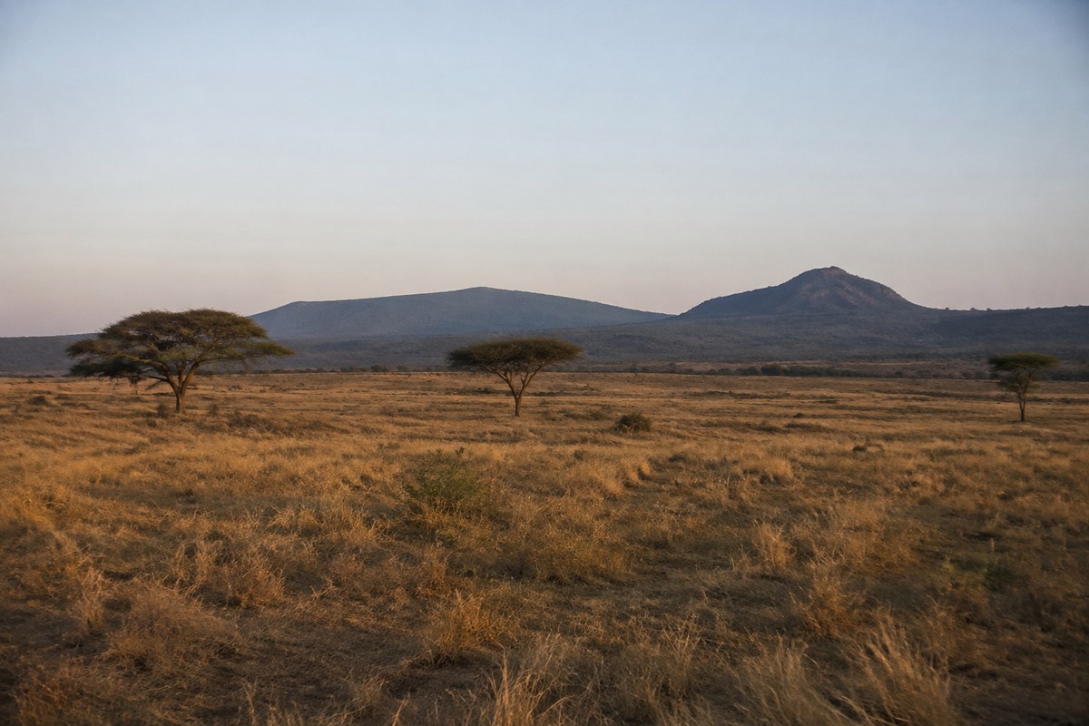 Acacia savanna in the Mago lowlands