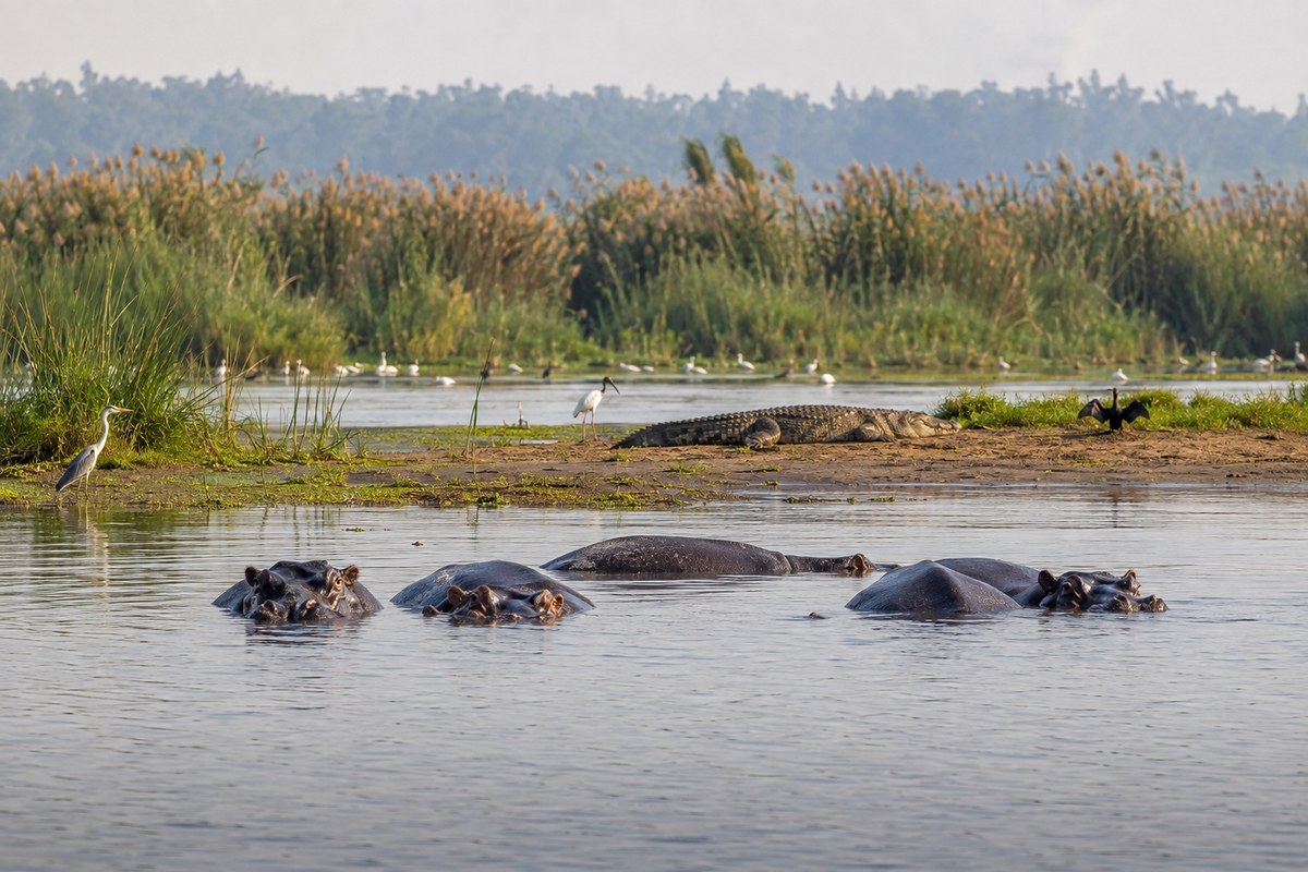 Rusizi National Park · border crossing to Rwanda
