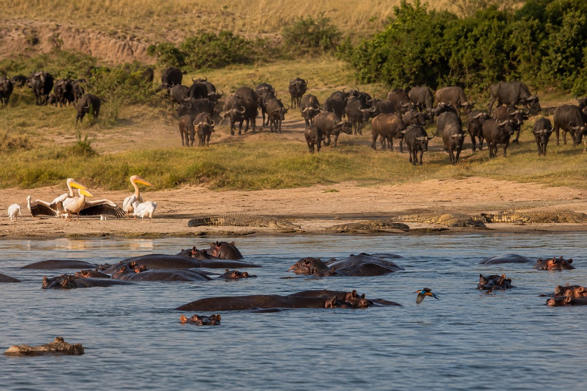 Uganda · Queen Elizabeth NP · Kazinga Channel