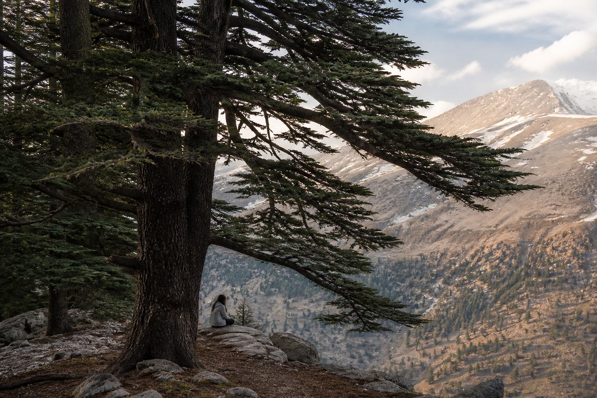 The Cedars, Qadisha & Gibran's town