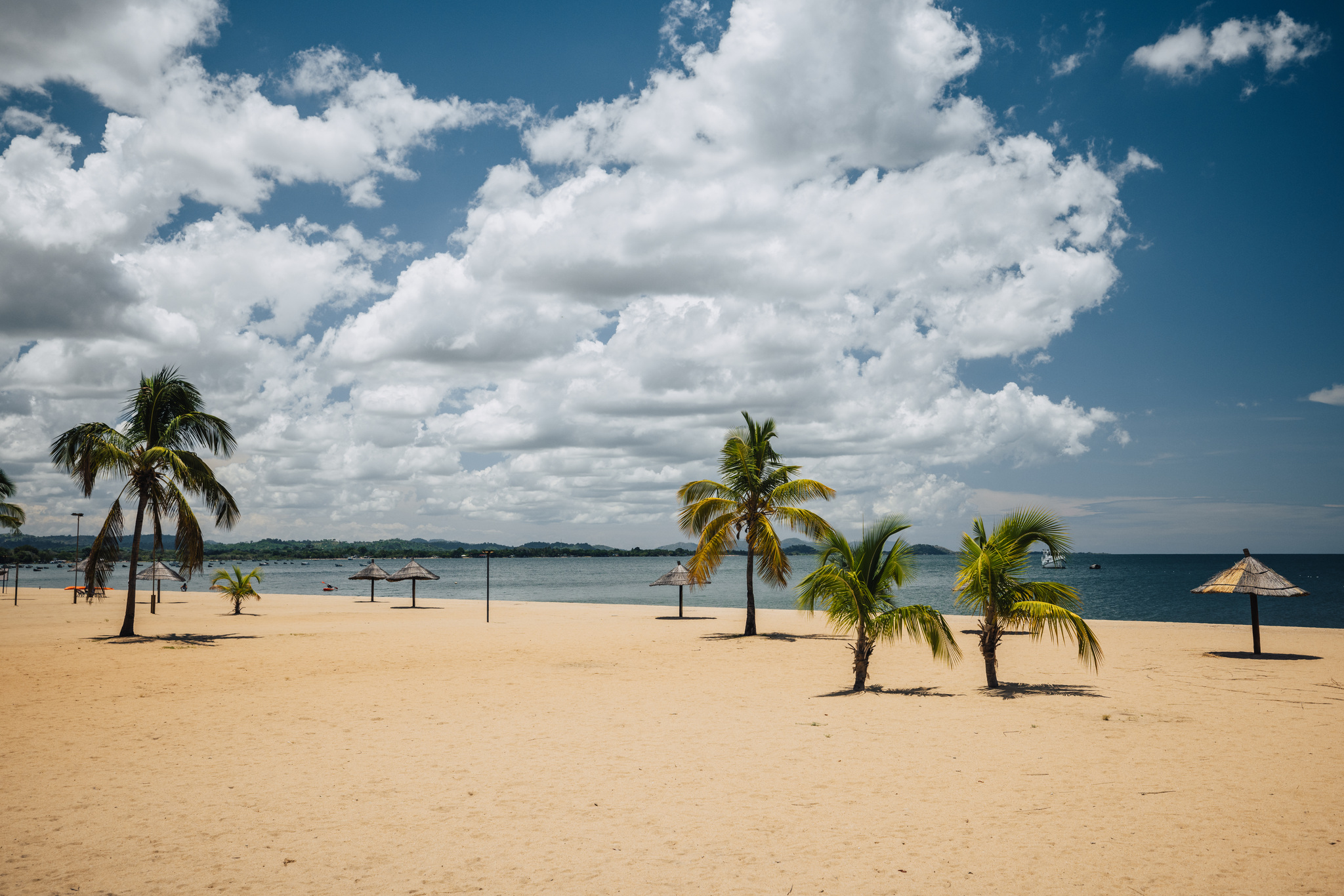 Palms on a sand beach on the southern shore of Lake Malawi