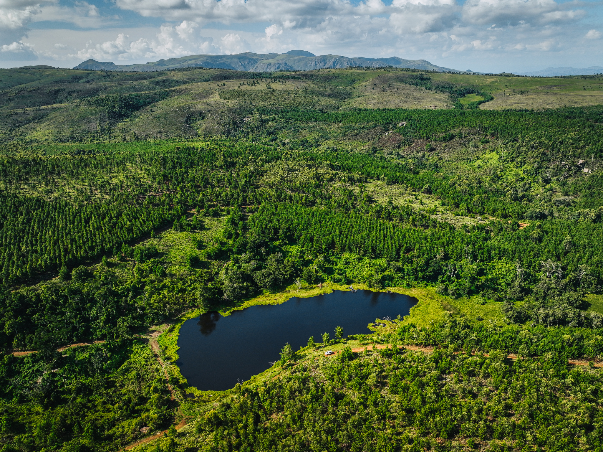 Pine plantation and a small lake on top of the Zomba Plateau, from the air