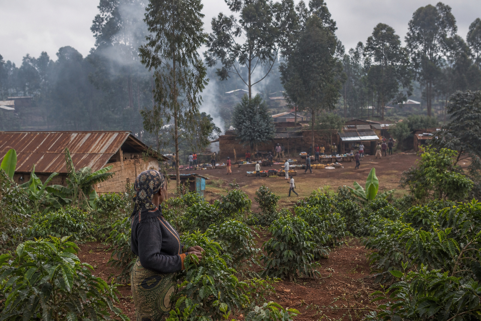 South across Angola · coffee country & highland towns