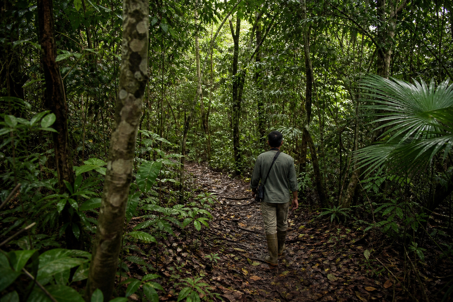 Lawachara Rainforest & Return to Dhaka