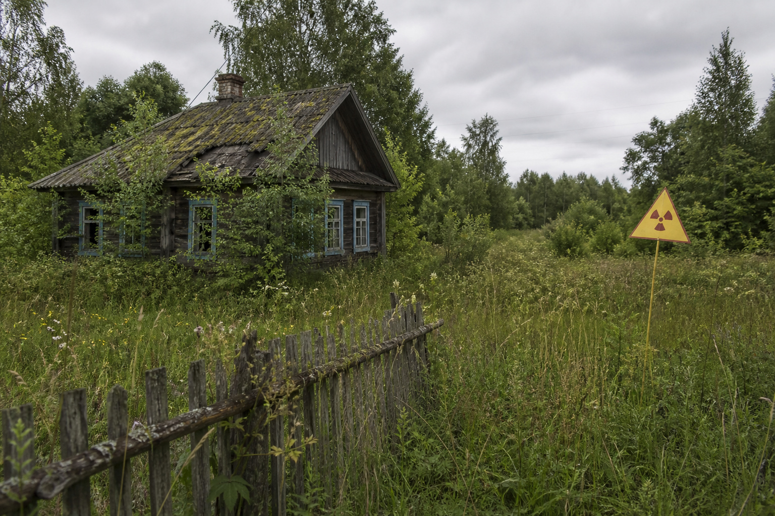 Into the Polesie Reserve