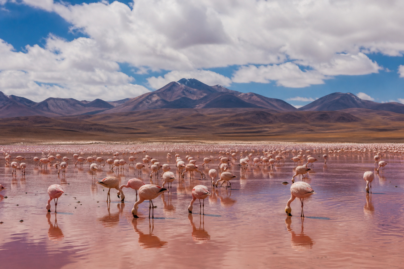 The Siloli Desert & the jewel lagoons