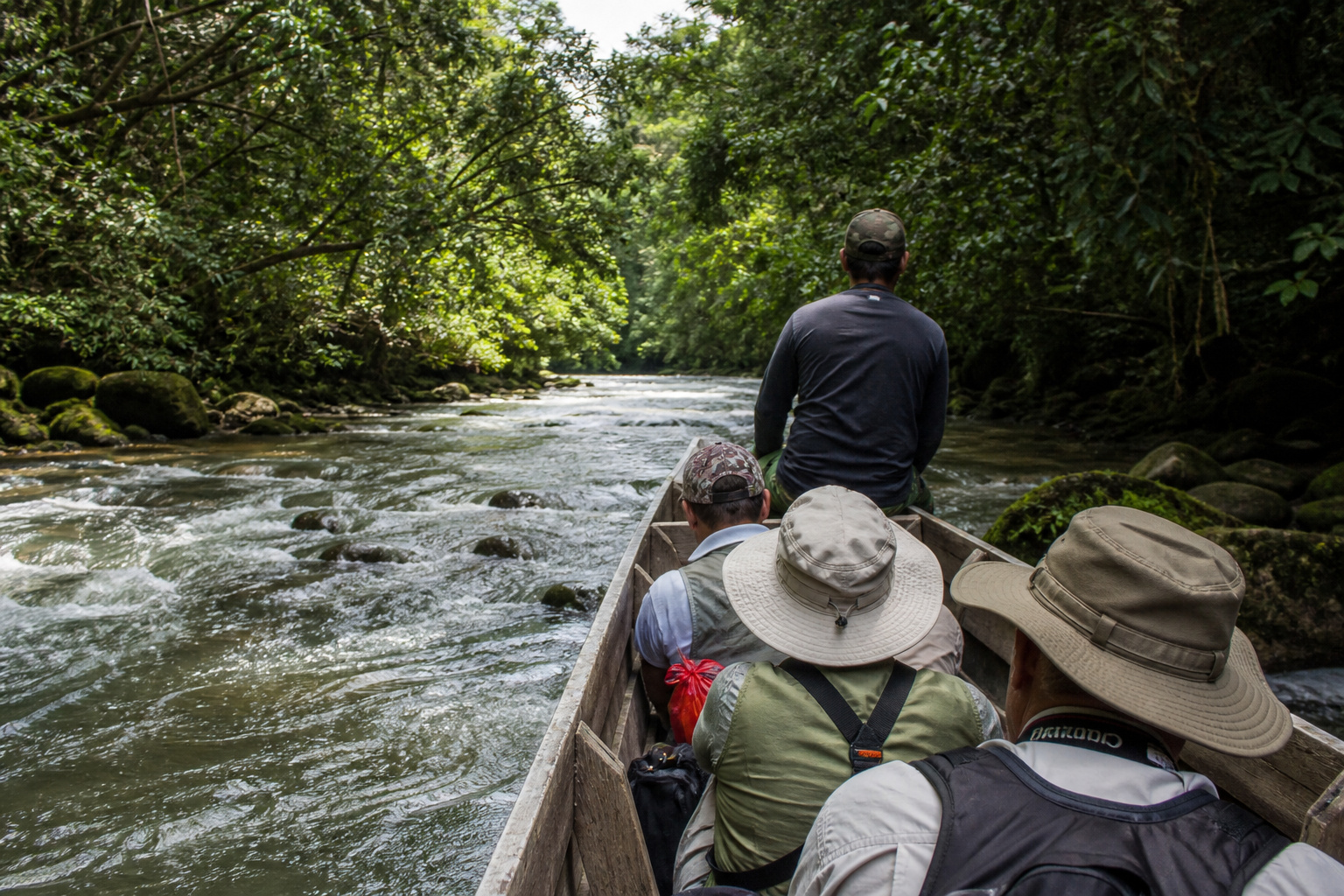 Temburong · the longboat and the canopy walk