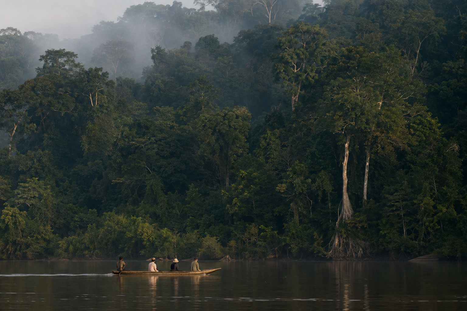 Dja Faunal Reserve · the river and the forest