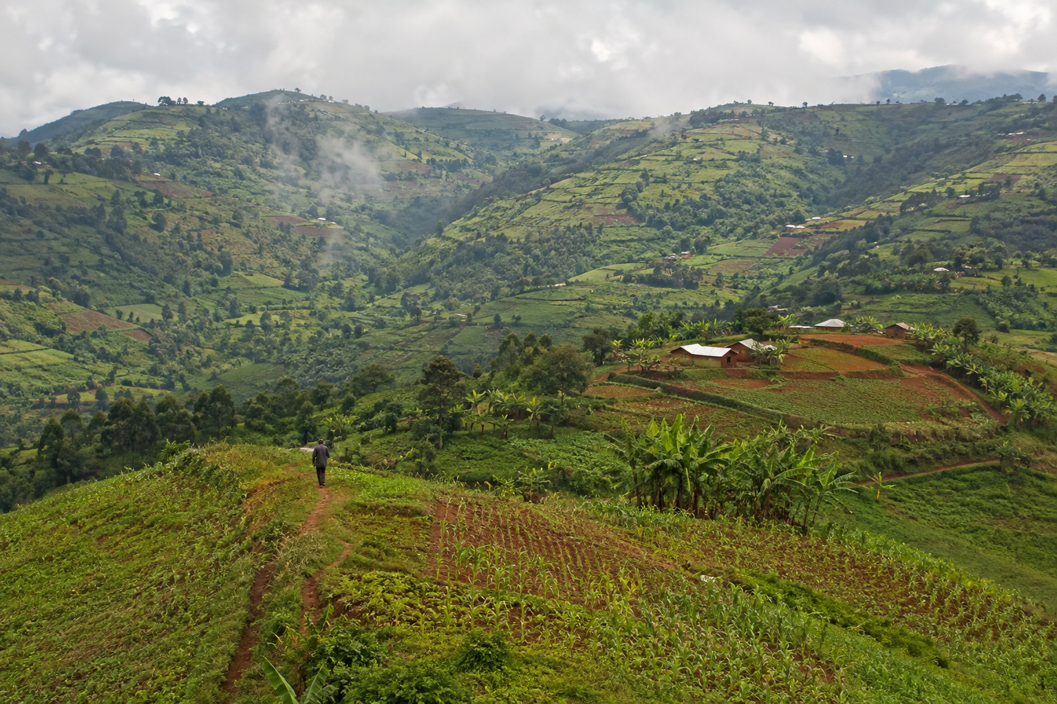 → Bafoussam · up into the Grassfields