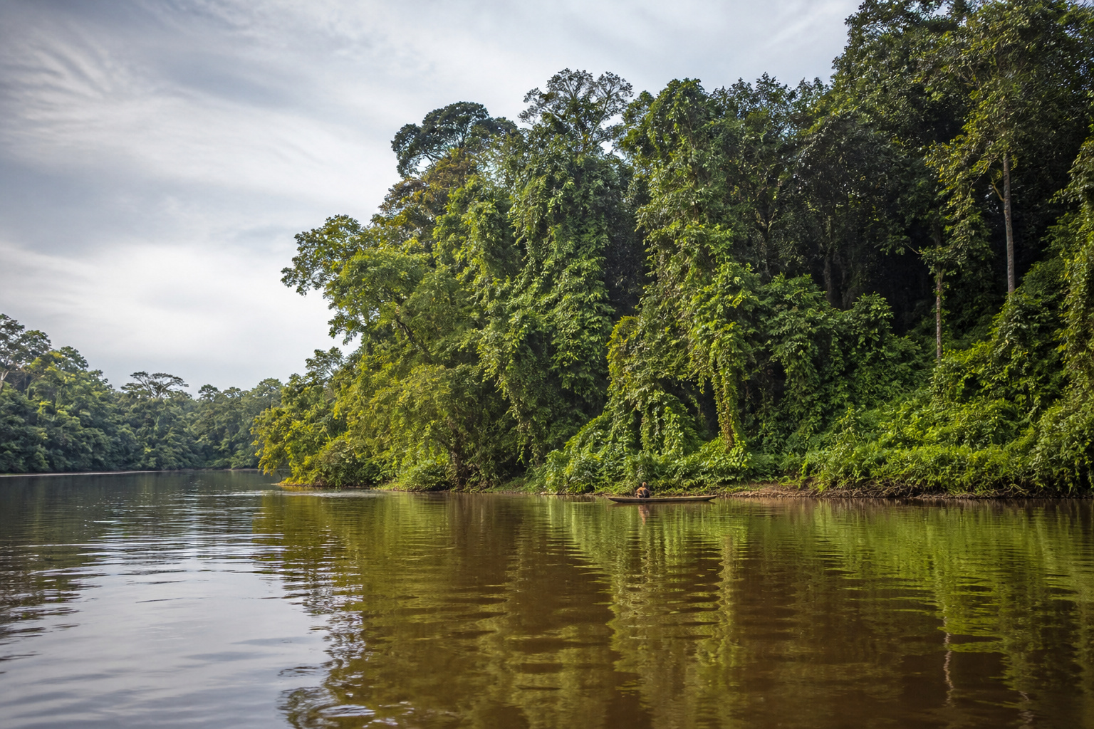 The upper Sangha River winding through unbroken rainforest