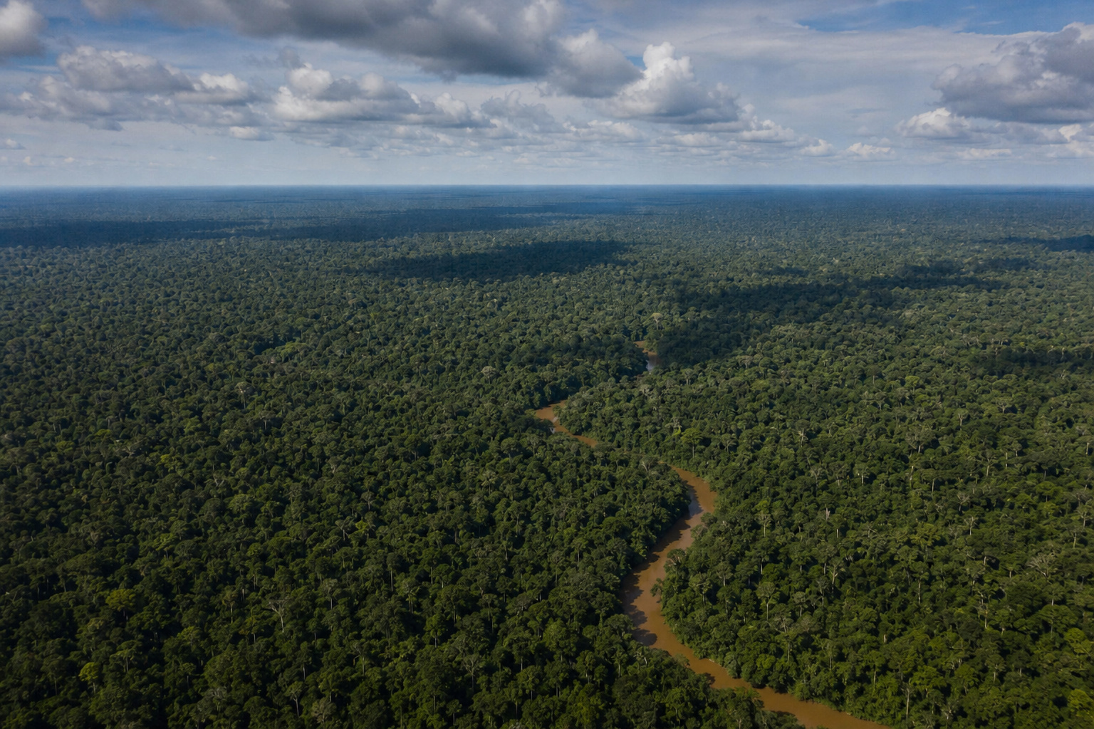 The rainforest canopy of the Congo Basin from the air
