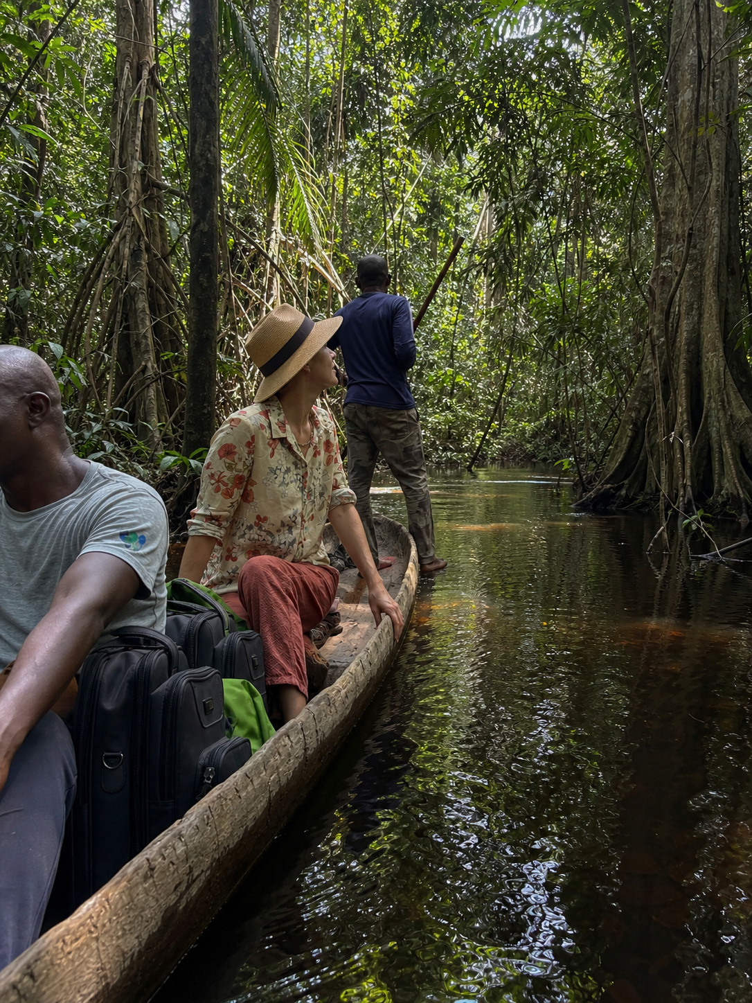 A traveller in a dugout pirogue on a forest creek in the Congo Basin