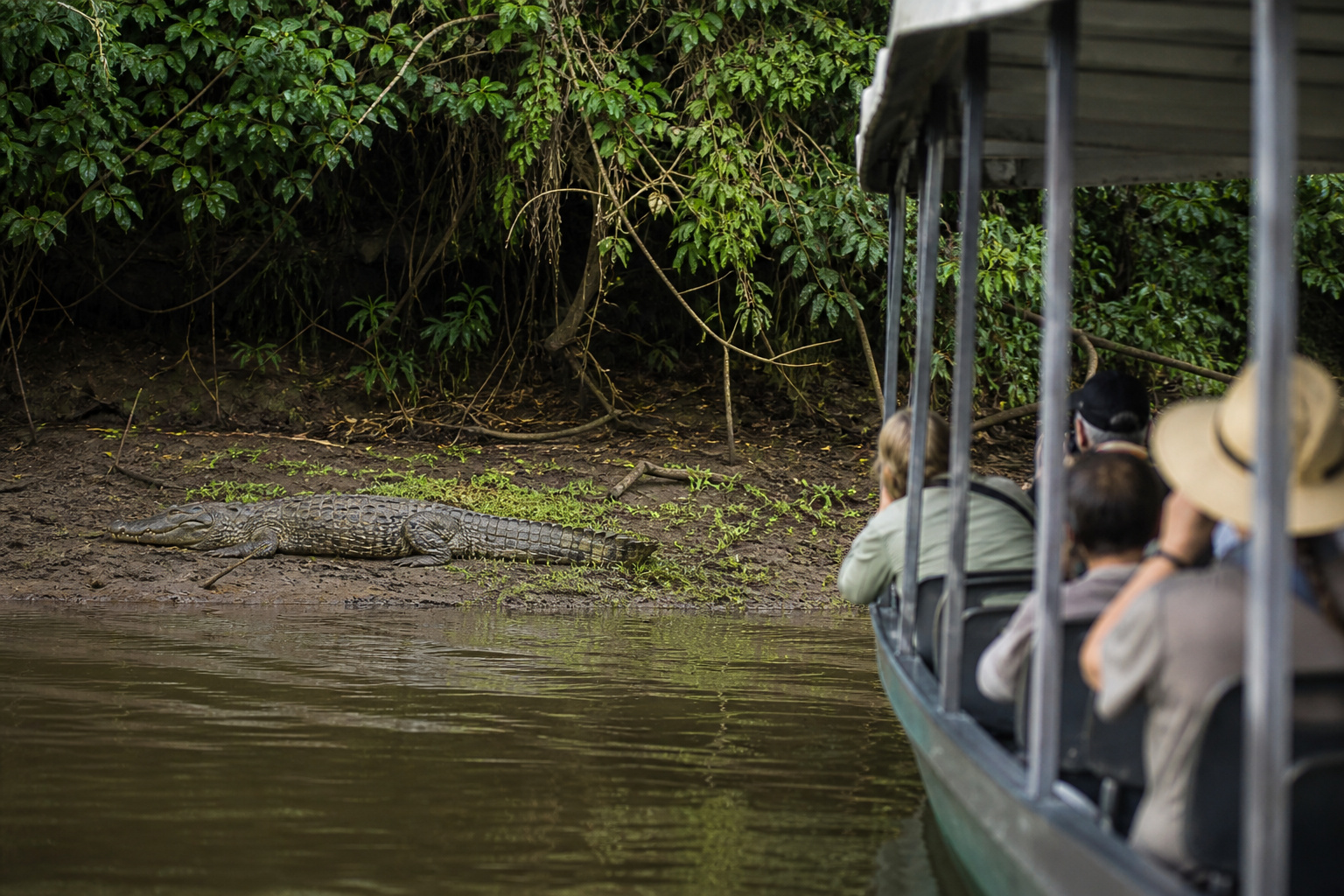 Caño Negro · river safari on the Río Frío