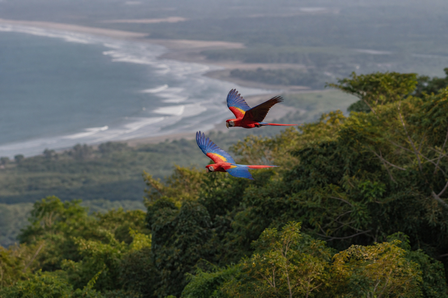 South along the coast · crocodiles & macaws → Manuel Antonio