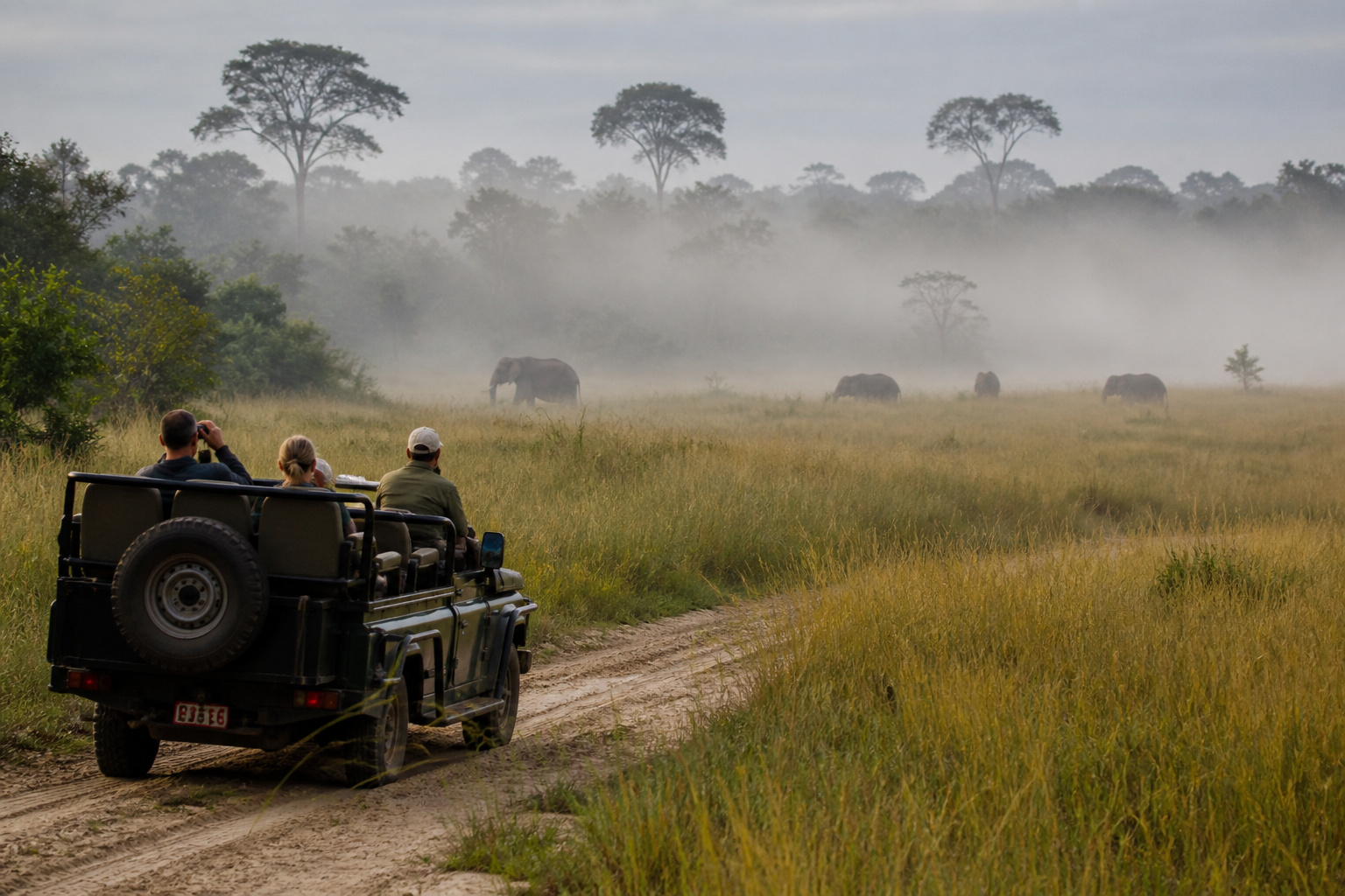 Lopé · savanna safari & the saline forests