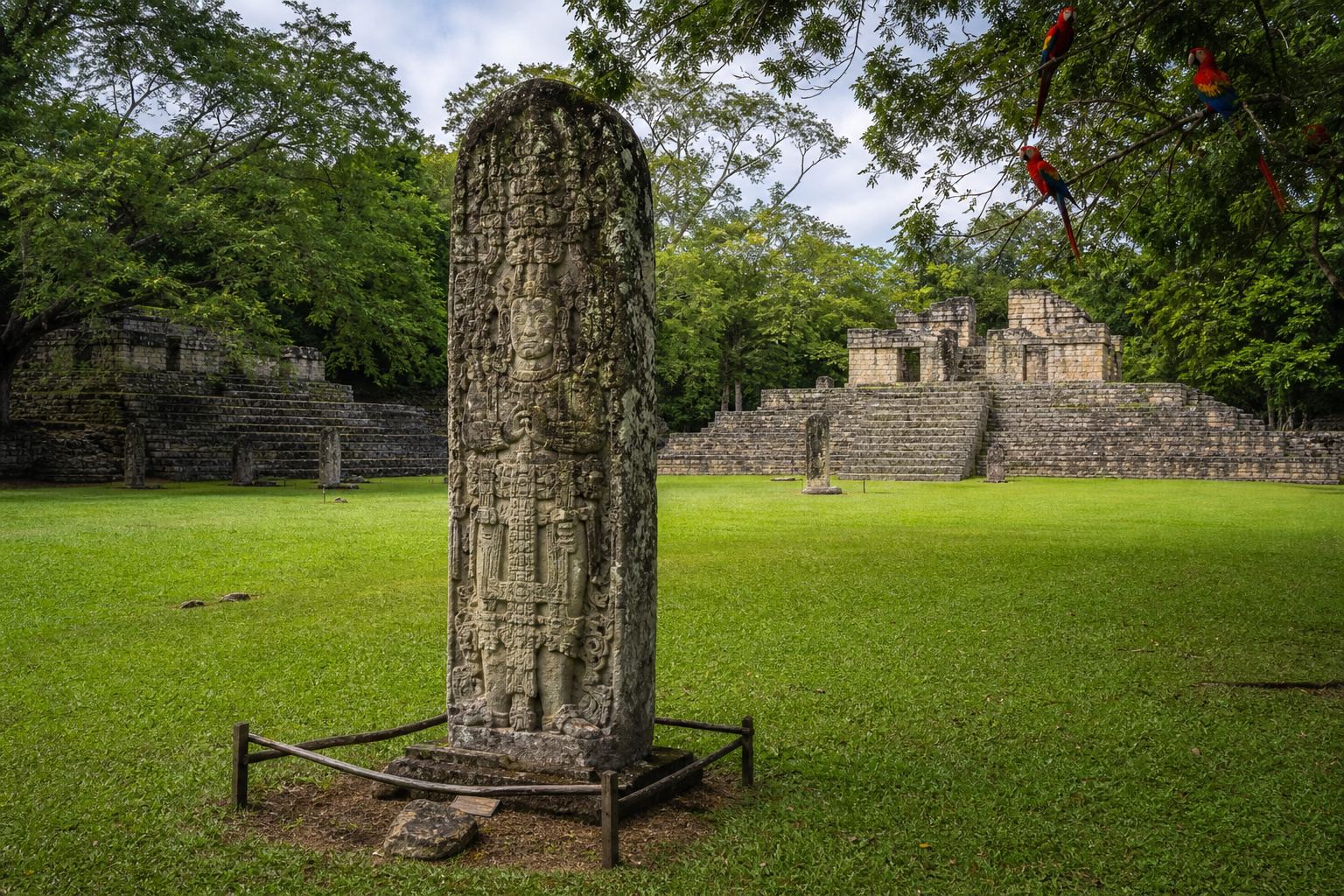 Honduras Copan Ruins Great Plaza Scarlet Macaws