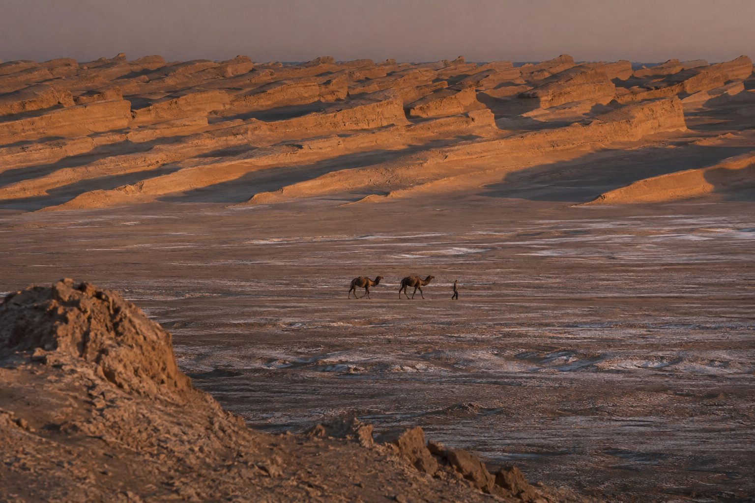 Shazdeh Garden, Mahan & the Lut Desert kaluts