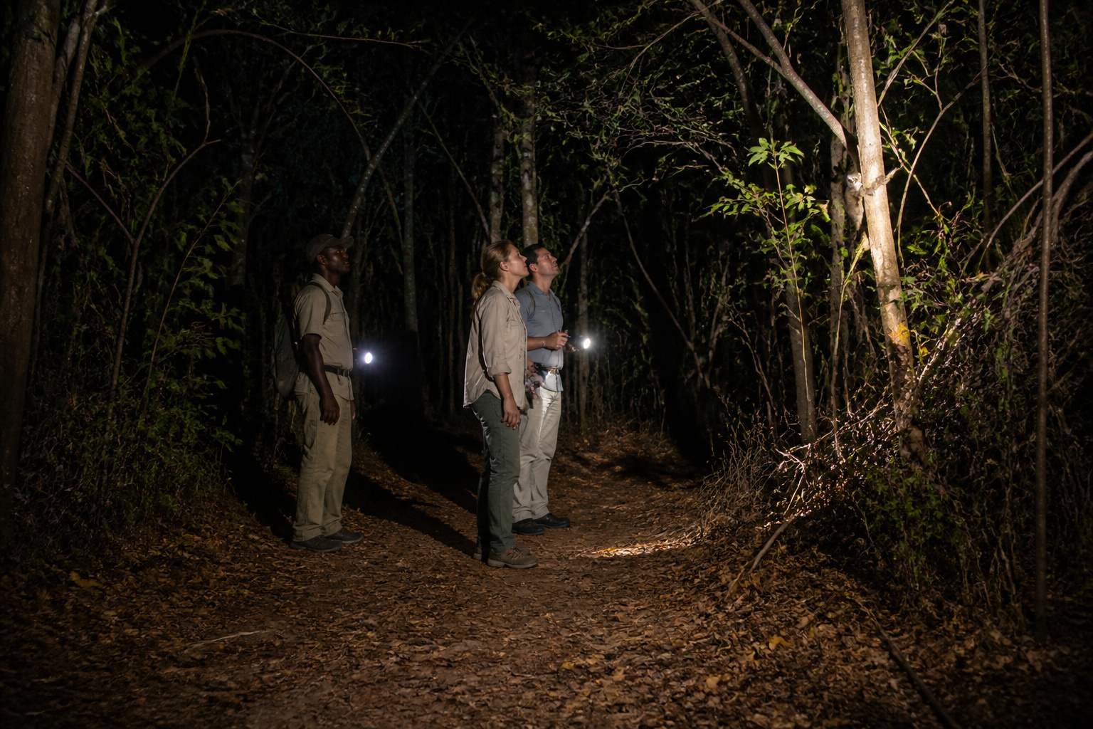 Fly to Morondava: Kirindy Forest by Night