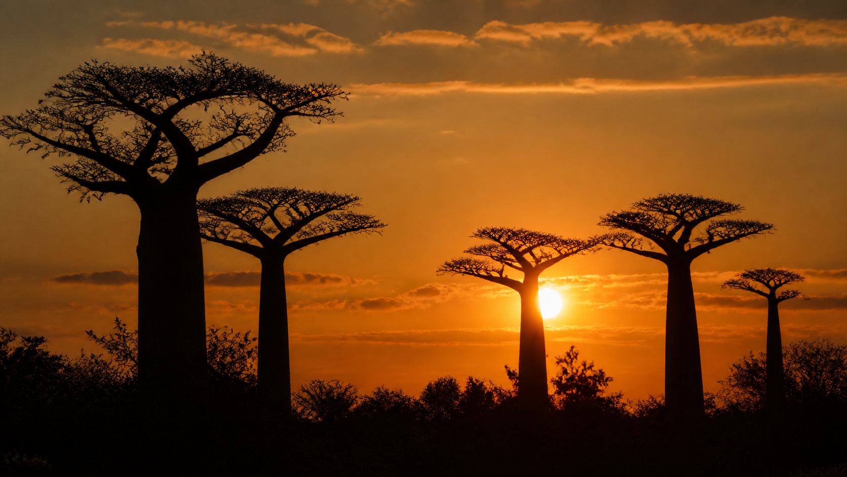 Madagascar Sunset