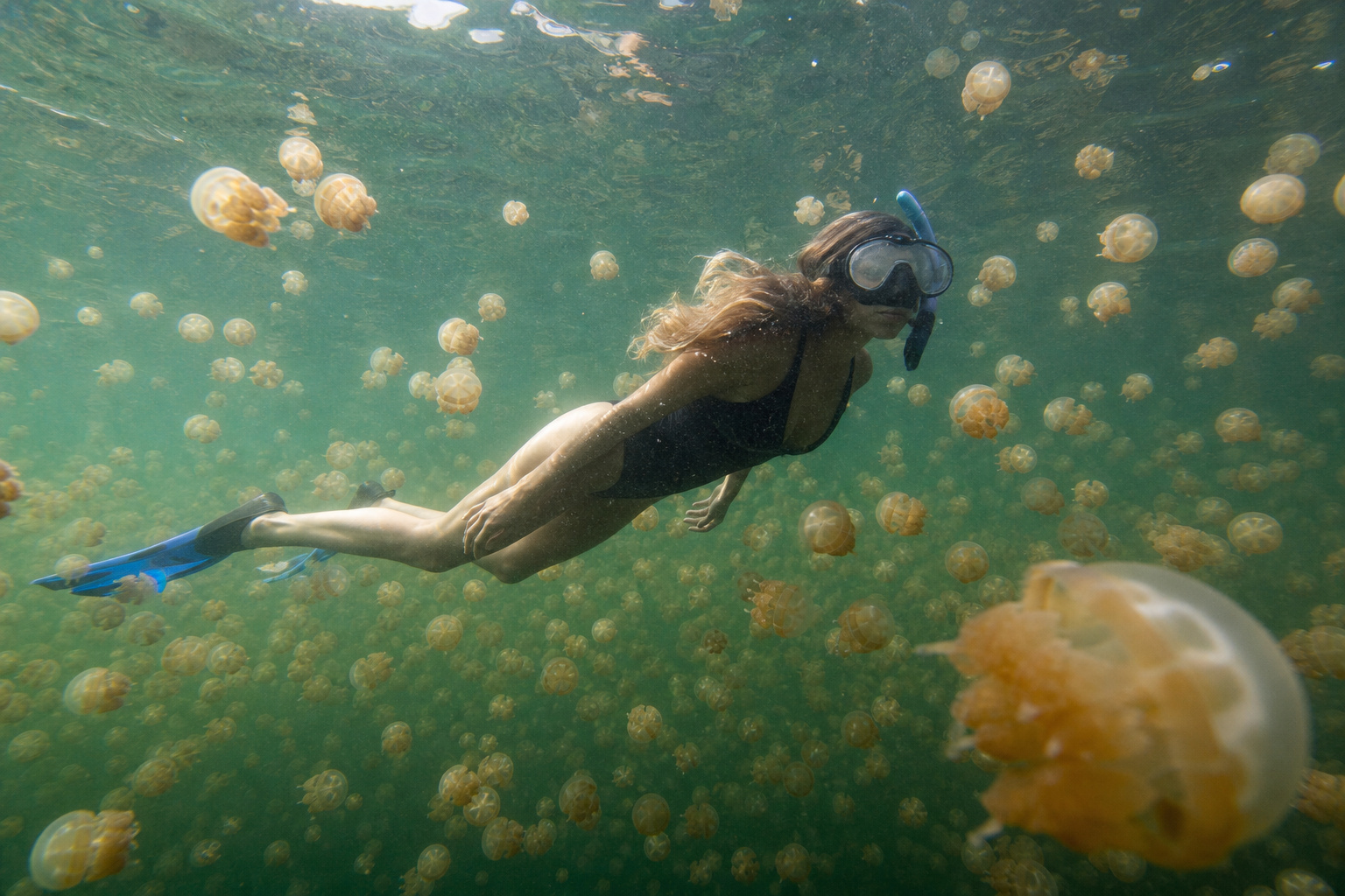 The Southern Lagoon · Milky Way, German Channel and Jellyfish Lake