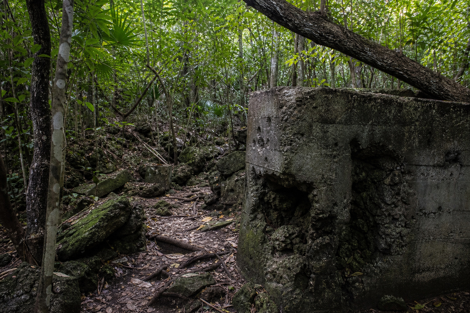 Peleliu · seventy-three days in 1944