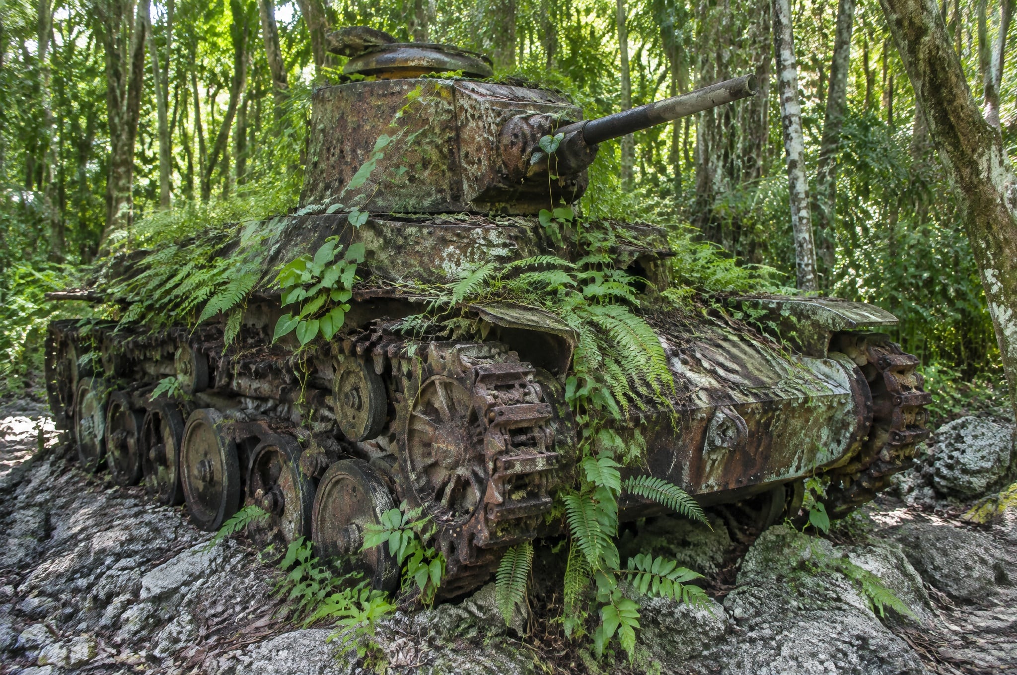 A wartime relic in the jungle on Peleliu, Palau
