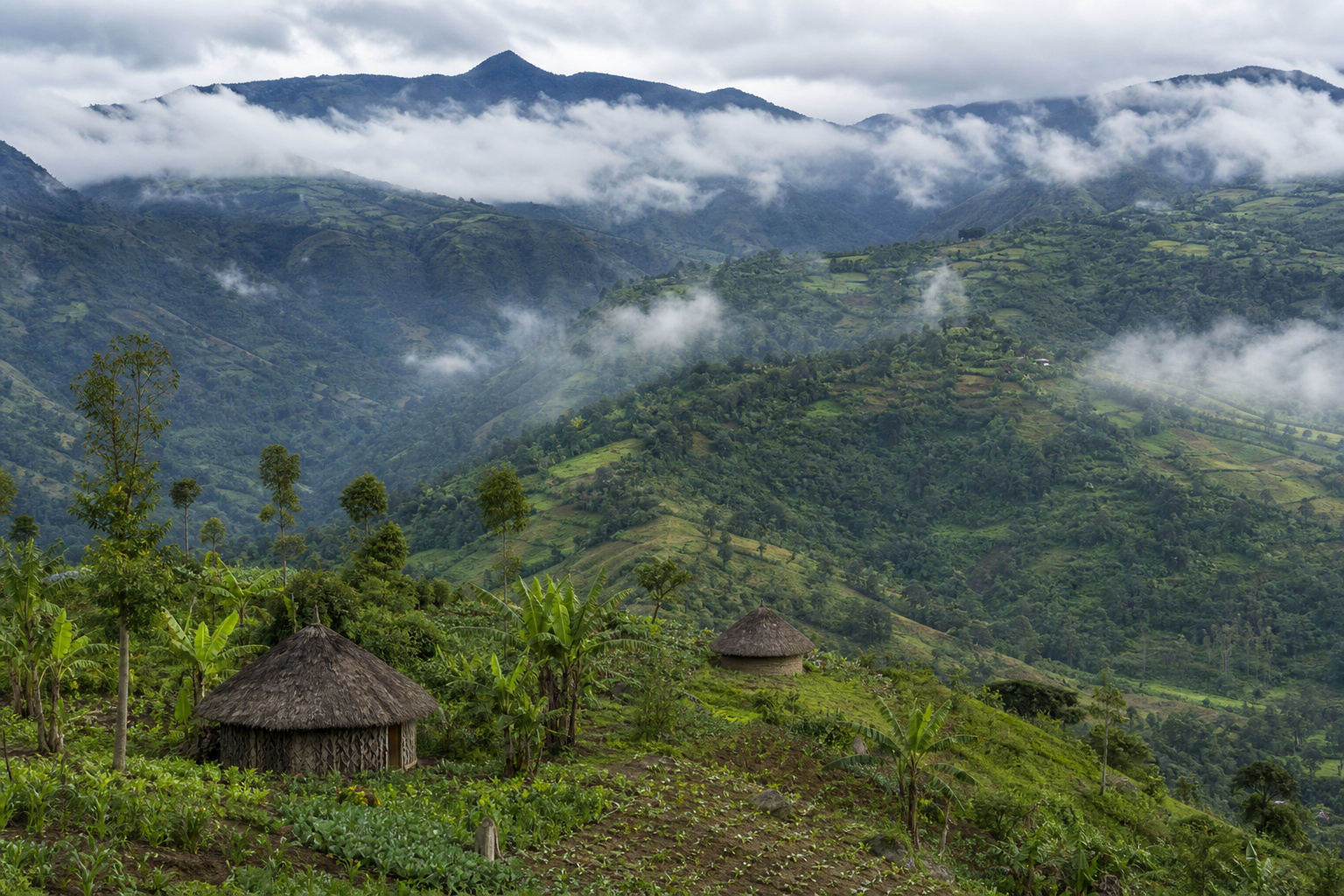 Green highlands of the Wahgi Valley in Papua New Guinea