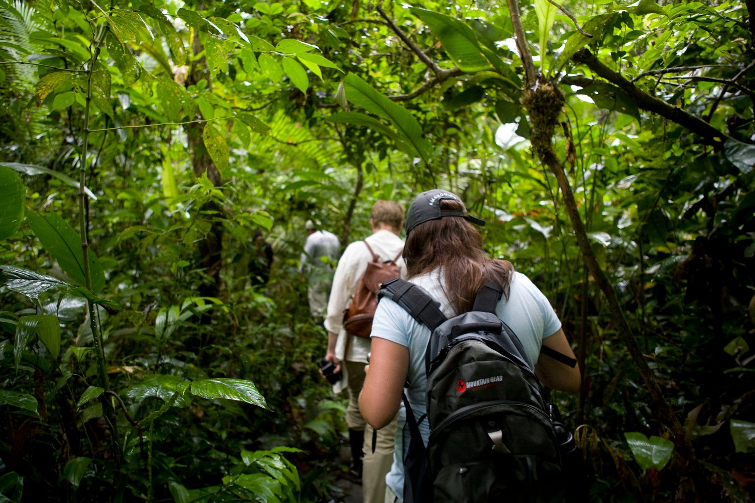 Guests walking a forest trail behind a guide