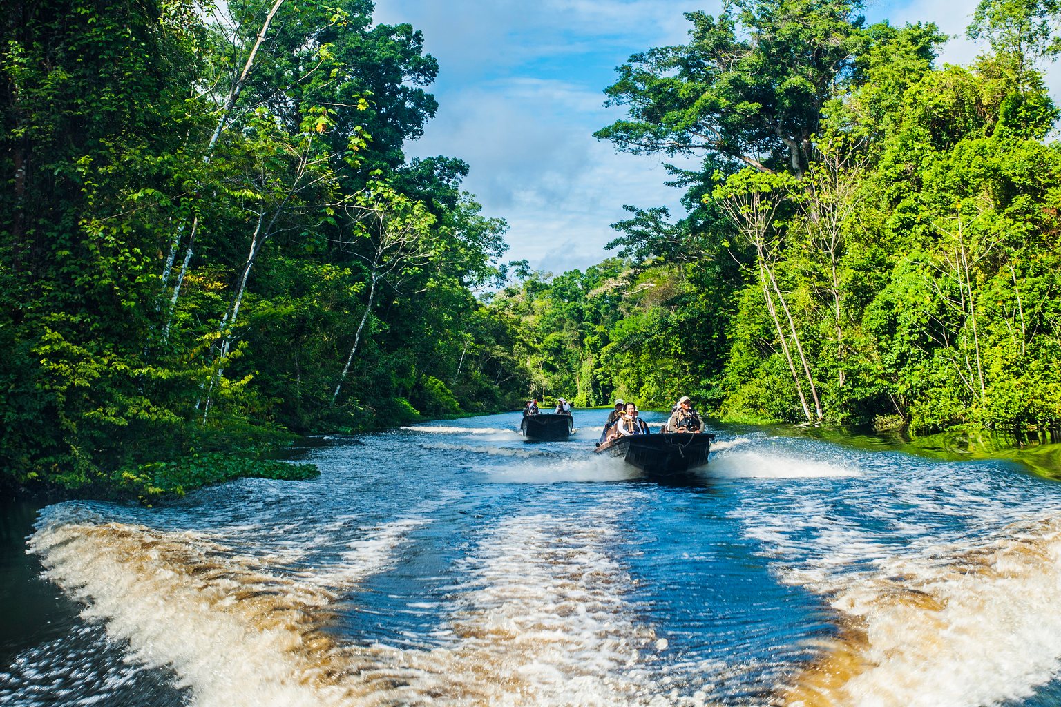 Skiffs heading up a narrow forest channel
