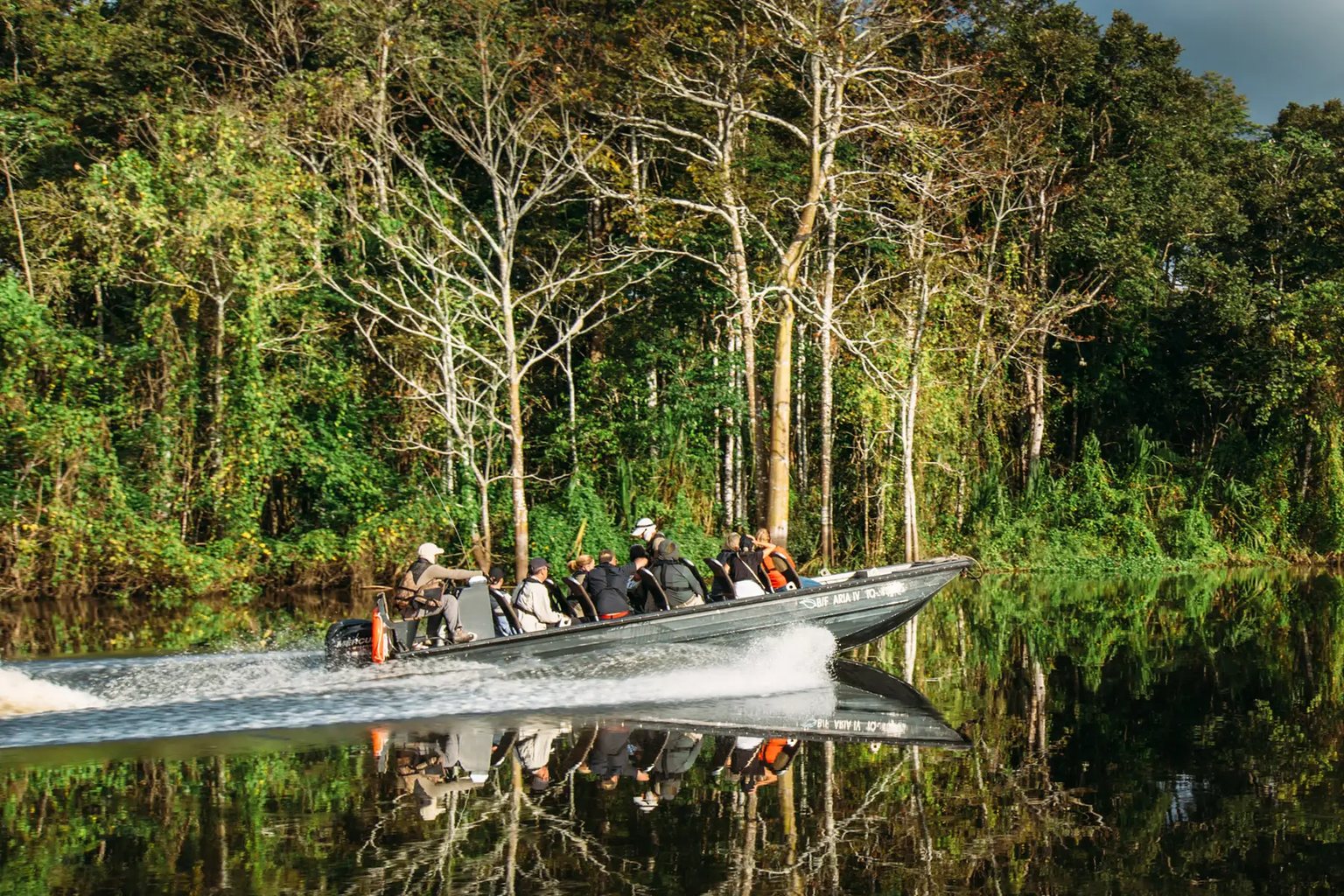 A skiff at speed along the forest edge