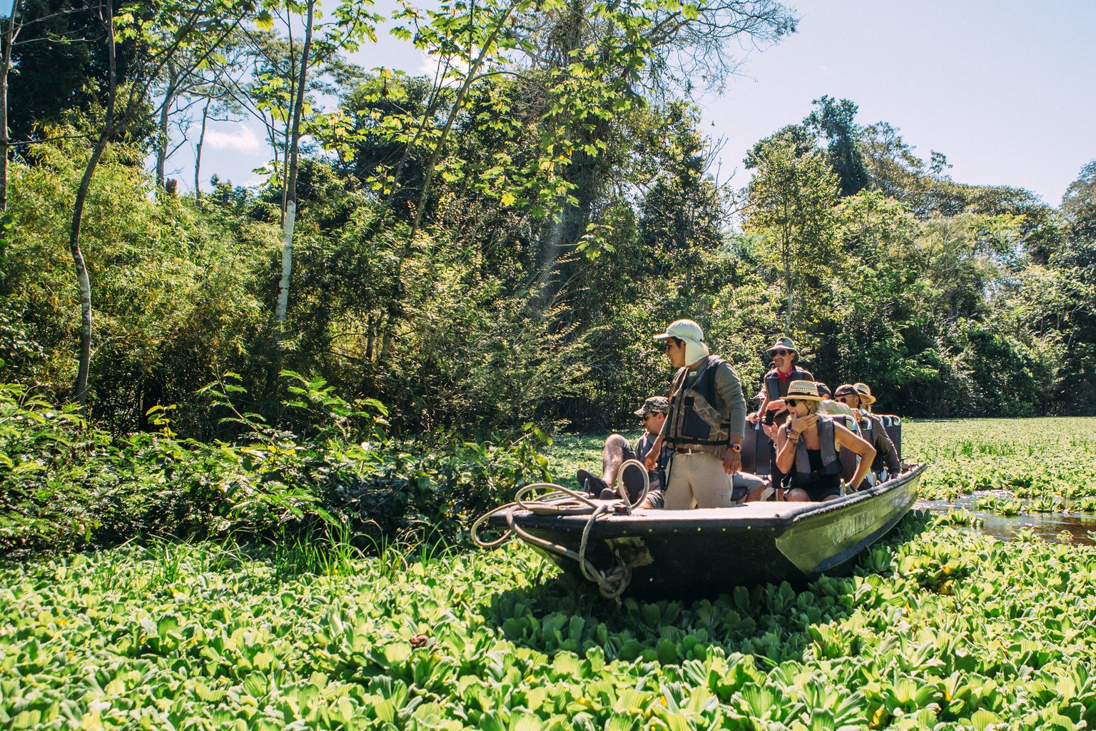 Guests in a skiff among water hyacinth
