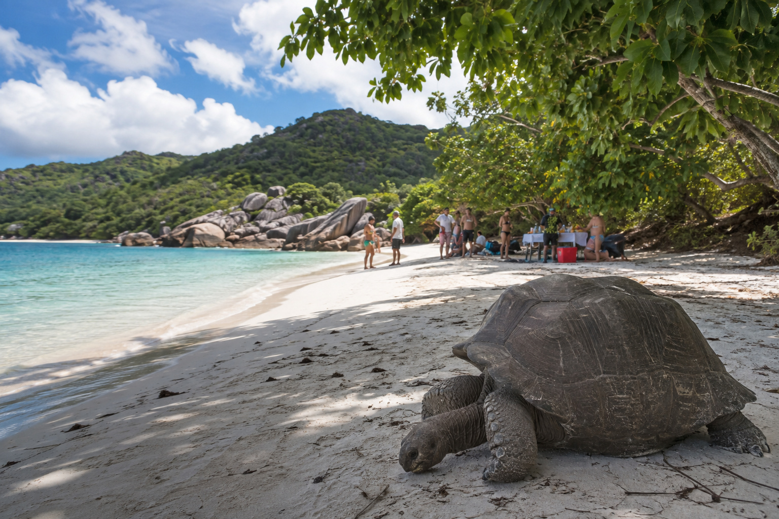 Curieuse and St Pierre · tortoises and the reef