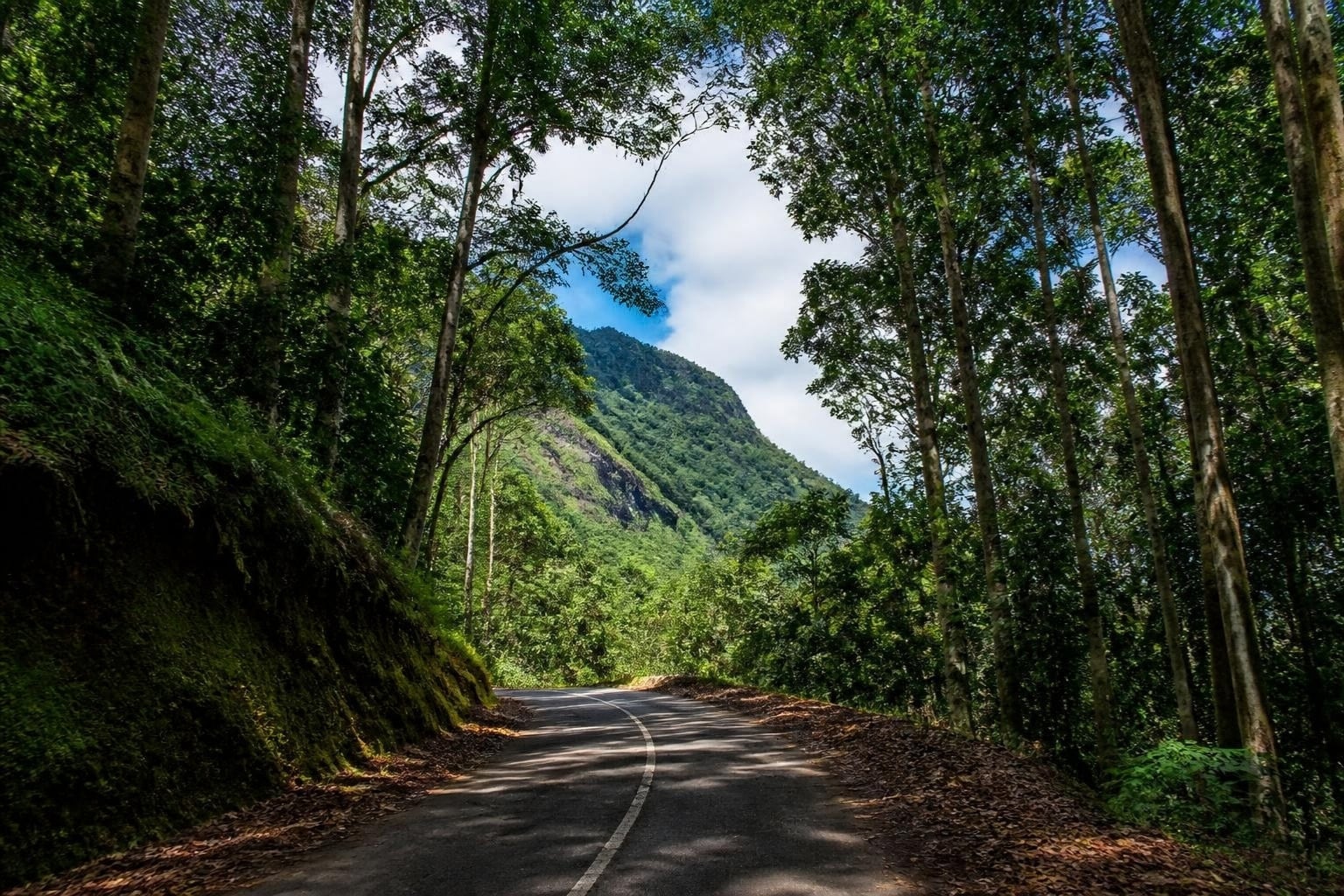 The Morne Seychellois National Park on Mahé, Seychelles