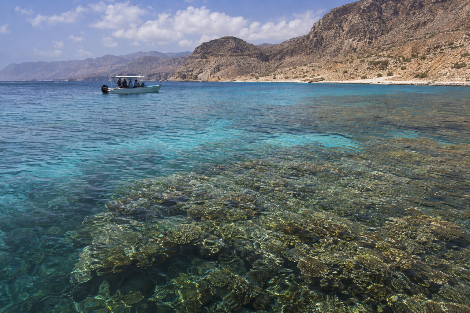 Homhil → Dihamri Marine Park → Hadibo