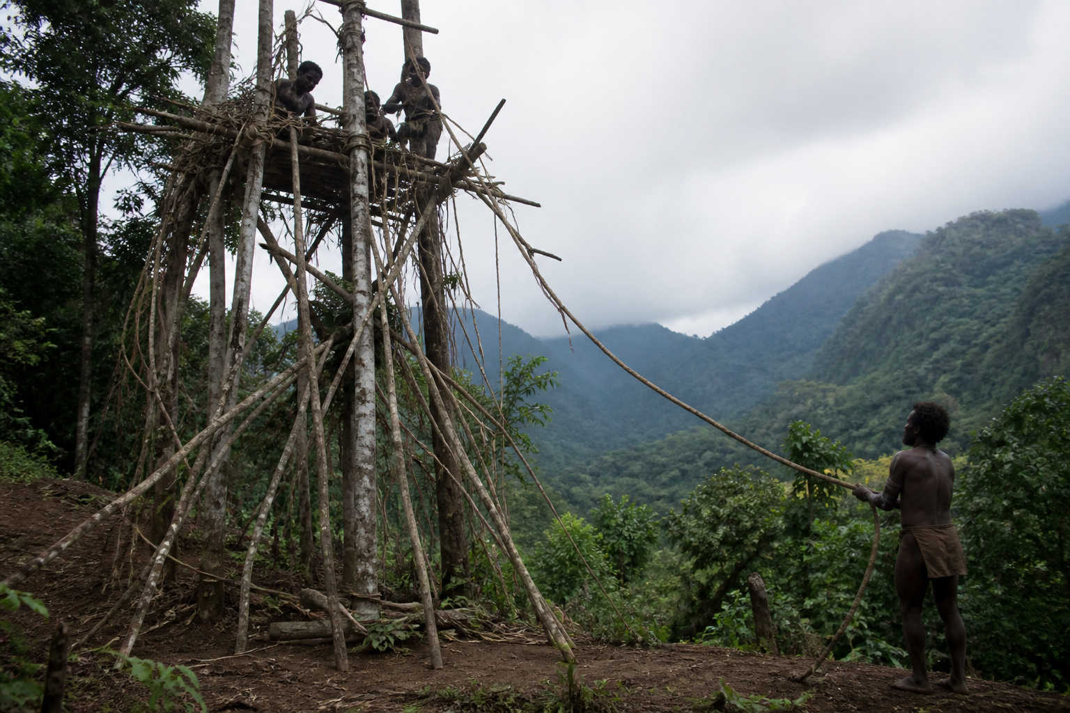 Vanuatu Pentecost Naghol Land Diving Tower