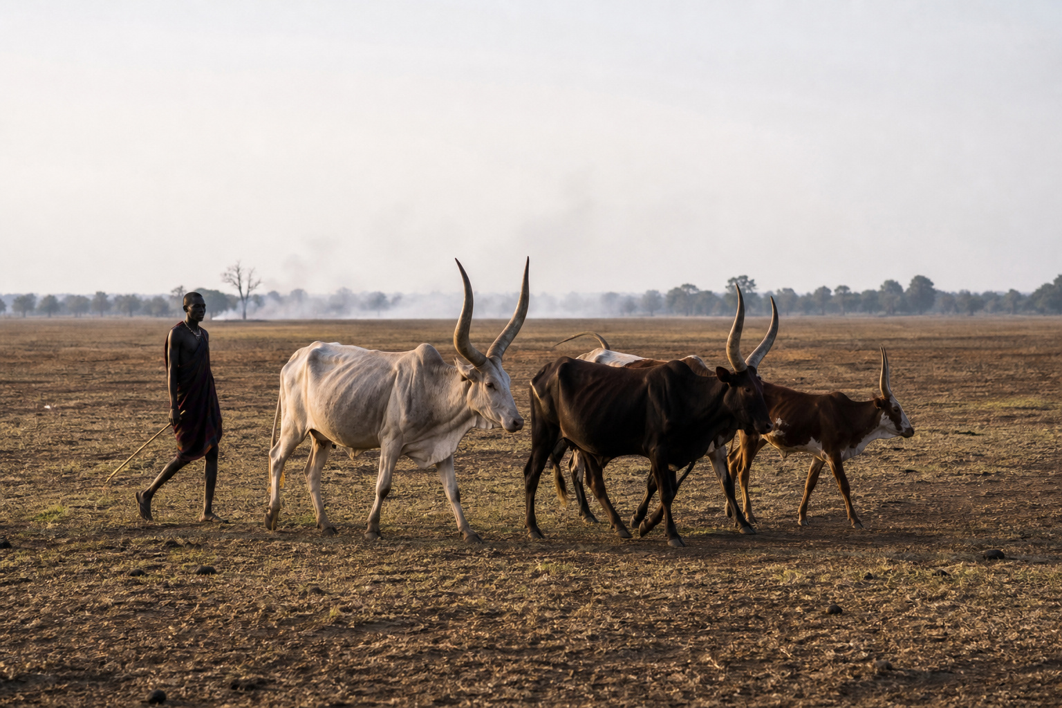 The rhythm of the plains