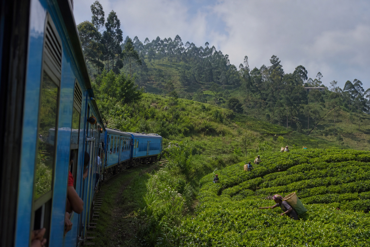 The tea-country train to Ella