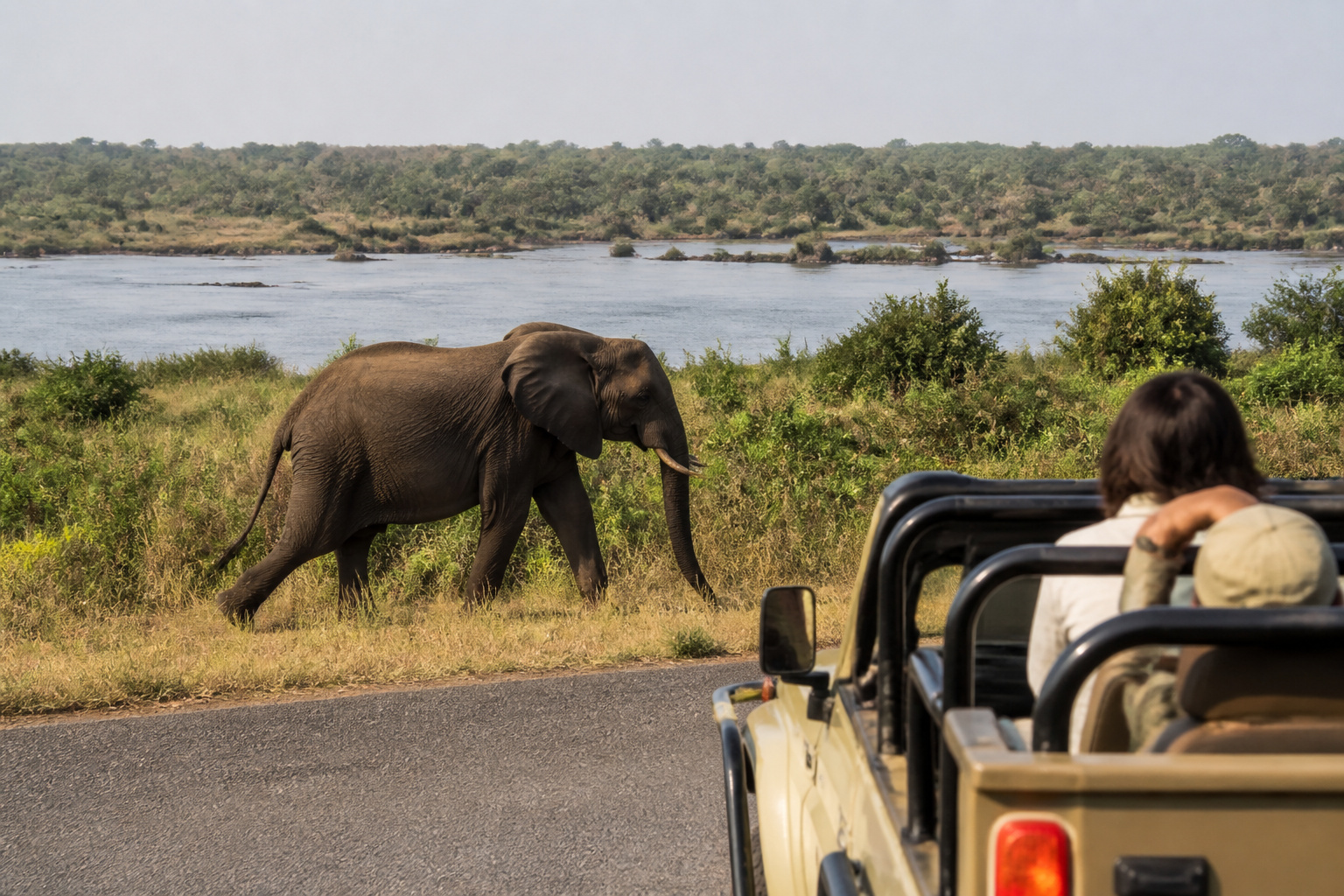 Zimbabwe · Victoria Falls & Zambezi National Park