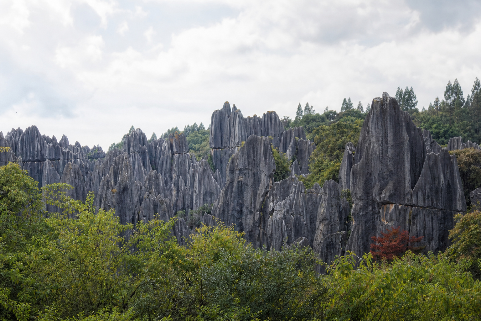 Yunnan Stone Forest