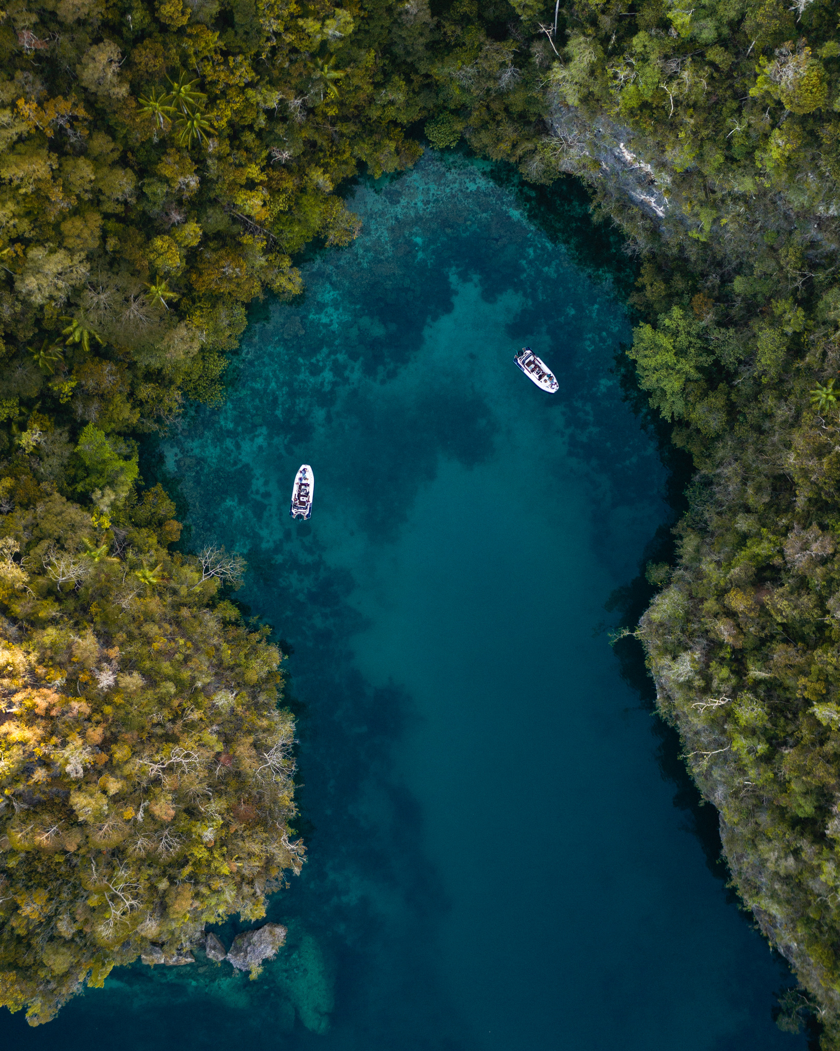 Two tenders in a narrow blue channel between forested walls in Kabui Bay, from above