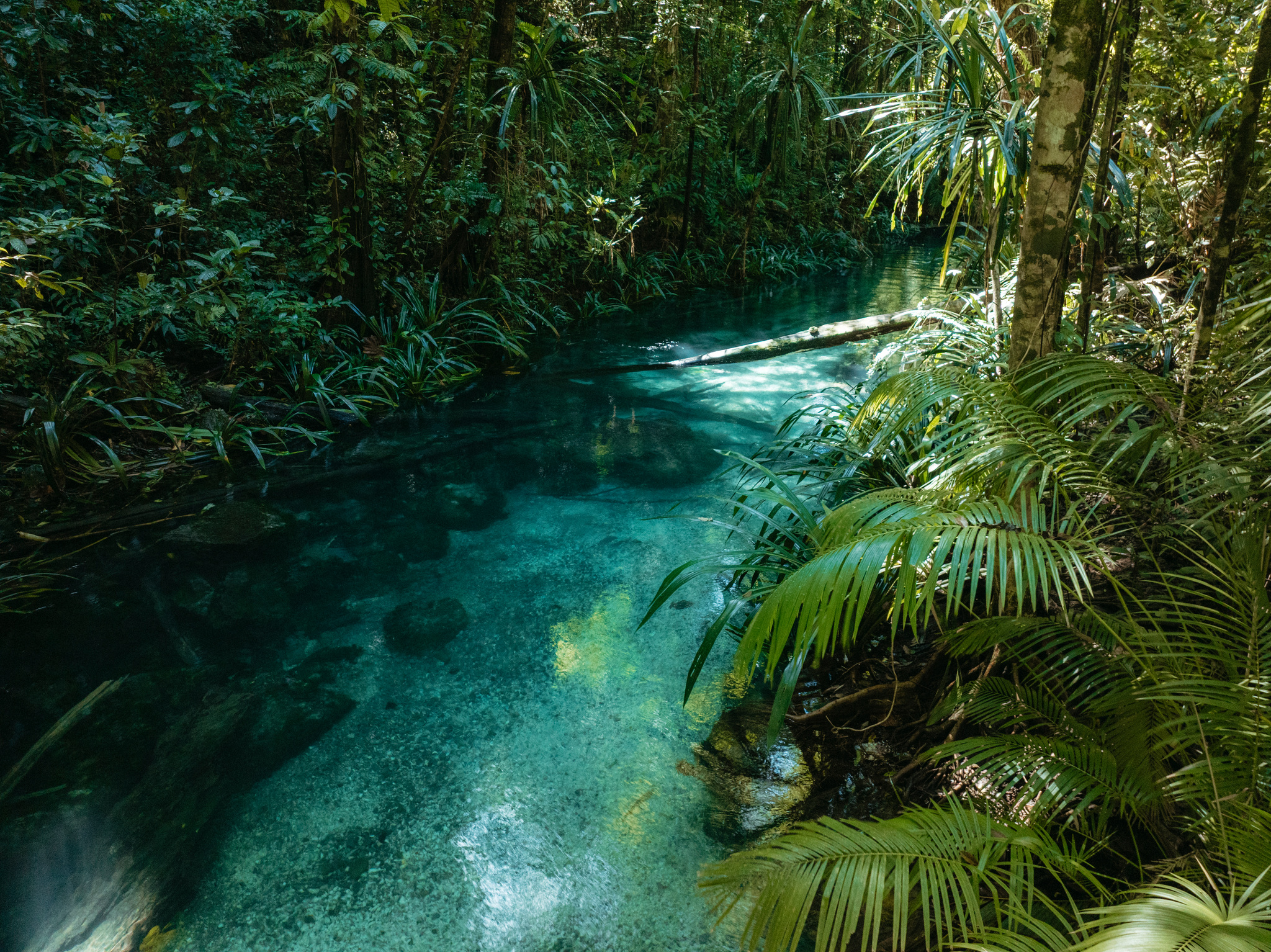 The clear blue water of Kali Biru running through rainforest on Waigeo