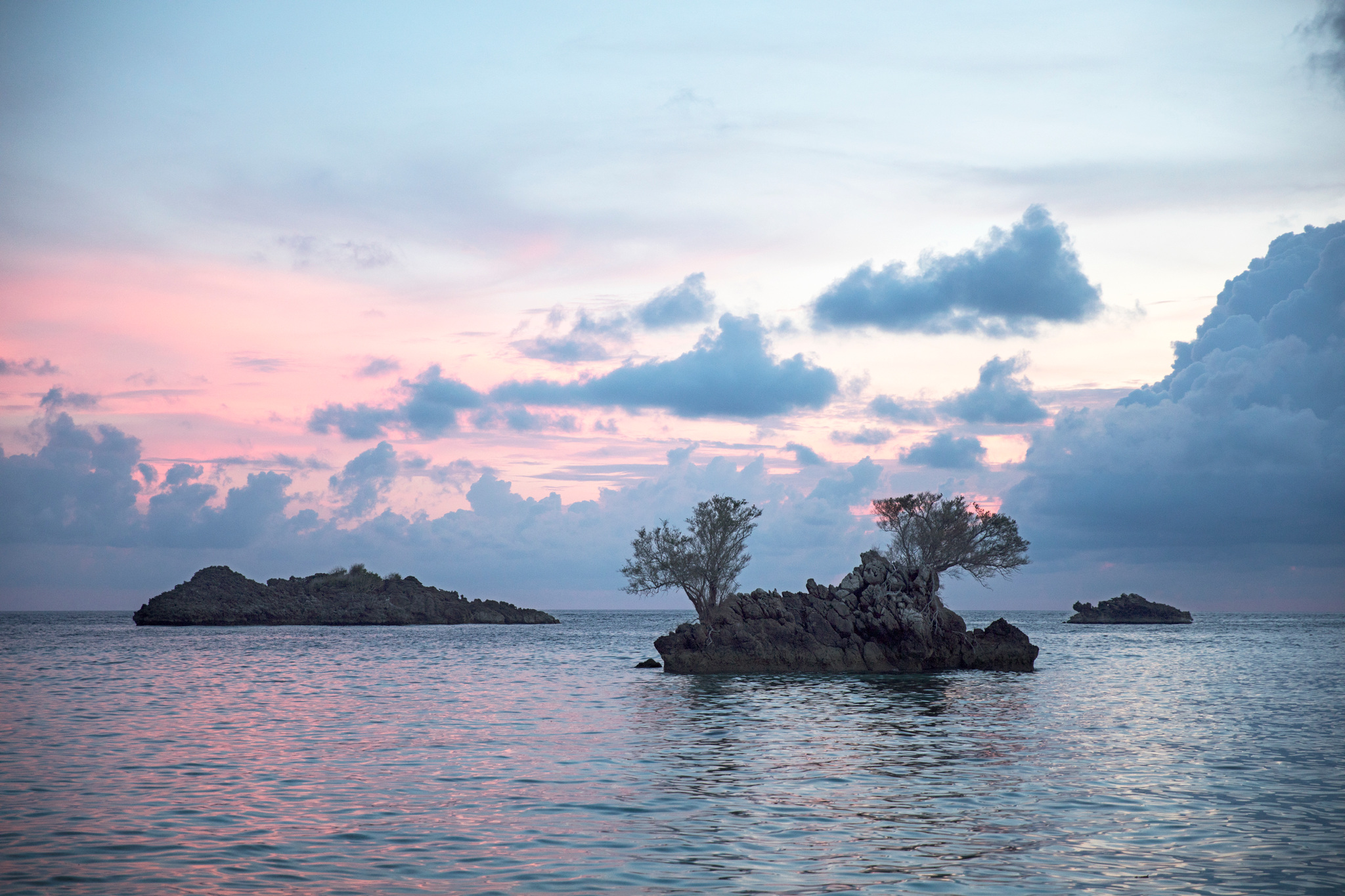 Small rocky islets topped with trees on a calm sea under a pink sky