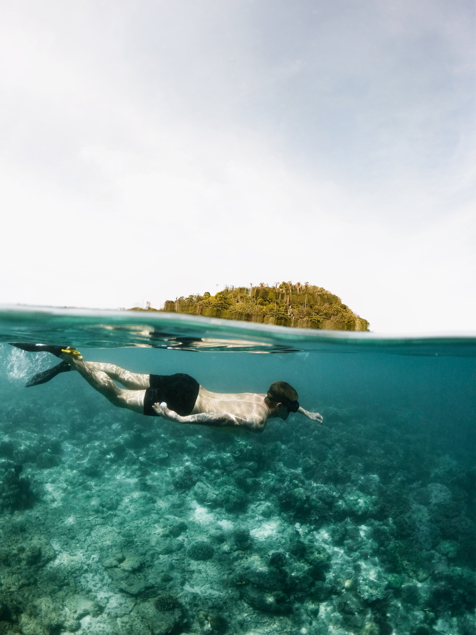 A snorkeller over a shallow reef, a small island above the waterline