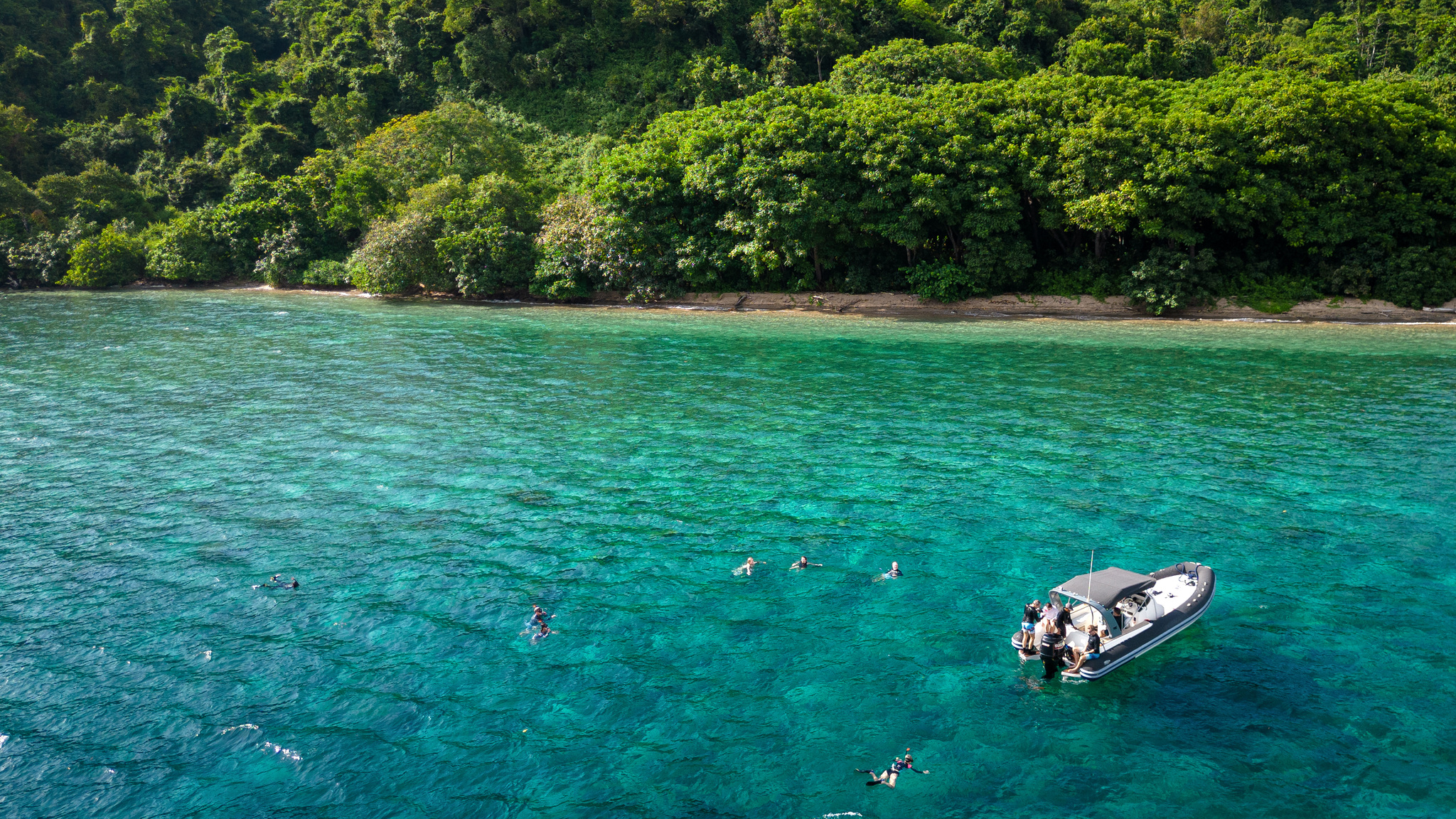 Snorkellers over a reef in clear turquoise water off a forested shore, their tender beside them